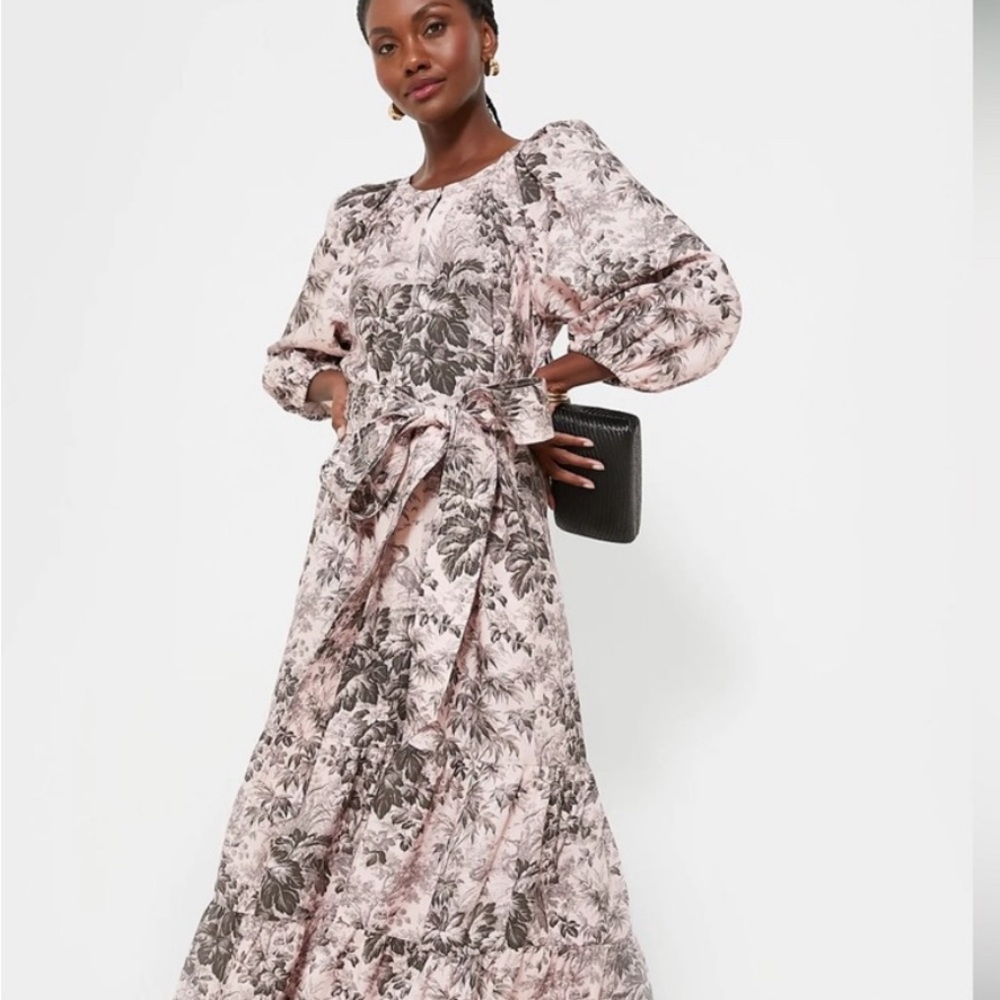 ISO TUCKERNUCK powder toile dress XXL